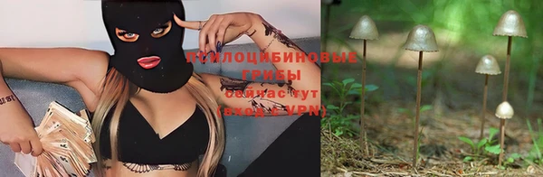 ALPHA PVP Армянск