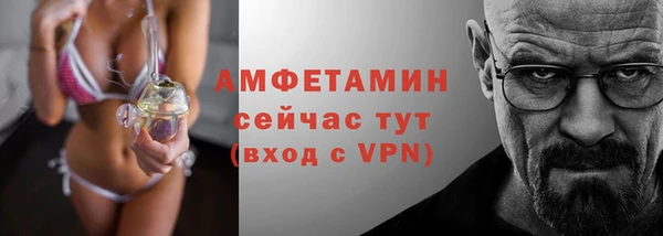трава Балахна